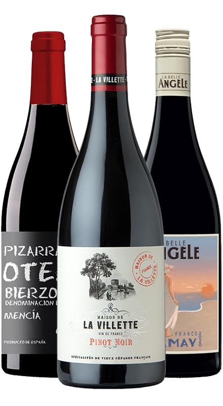 חבילת יינות אדומים קלילים לקיץ